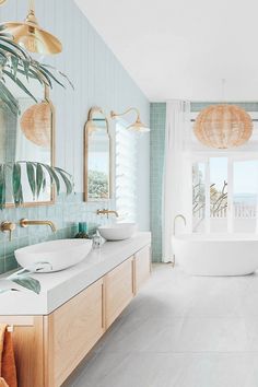 a bathroom with blue and white walls, a large plant in the middle of the bathtub