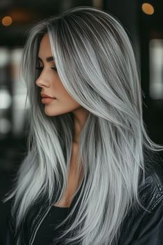 Silver Grey Ombre Hair, Silver Hair Balayage, Highlights For Long Hair, Black And White Highlights, Long Grey Hair, Silver Ombre Hair, Long Silver Hair, Grey Blonde Hair