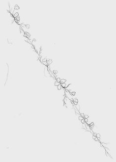 a line drawing of flowers on a white background