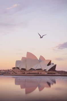 a bird flying over the top of a large building with water in front of it