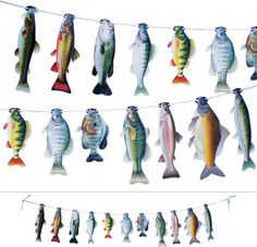 several fish are hanging on a clothes line