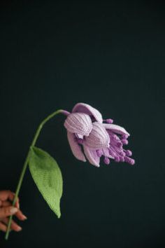 a hand holding a purple flower with green leaves