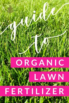 the title for a guide to organic lawn fertilizer