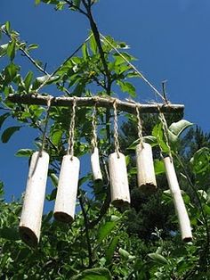 several wind chimes hanging from a tree with leaves in the foreground and blue sky in the background