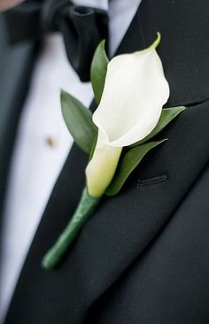 a man in a tuxedo with a white flower on it's lapel