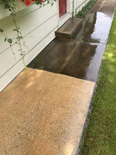 a sidewalk that has flowers growing on the side of it and water coming from underneath