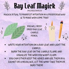 Bay Leaf Magic, Magick Herbs, Magical Stuff, Manifestation Methods, Wish Spell, Witch Tips, Green Witchcraft, Spell Jars