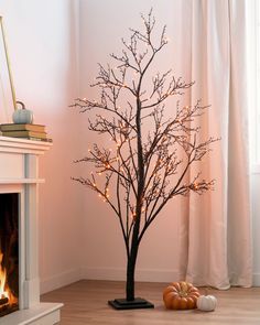 a small tree with lights on it in front of a fire place and pumpkins