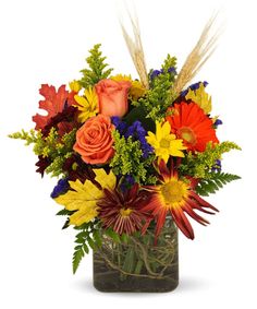 a vase filled with lots of colorful flowers