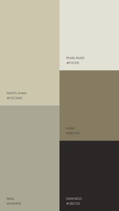 the different shades of brown, beige and black are featured in this color scheme for interior paint