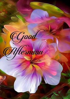 flowers with the words good afternoon written on them in black and white lettering, surrounded by colorful