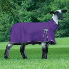 Weaver Leather ProCool Mesh Sheep Blanket Medium Purple