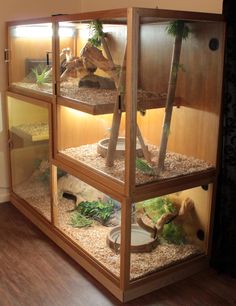 an animal cage with plants and rocks in it on the floor next to a wall