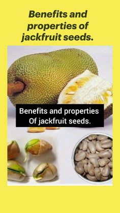 an advertisement for jackfruit seeds with the words benefits and properties of jackfruit seeds