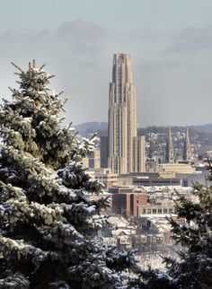 a view of a city from the top of a hill with trees covered in snow