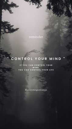 a foggy forest with the words control your mind