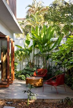 an outdoor patio with chairs and plants