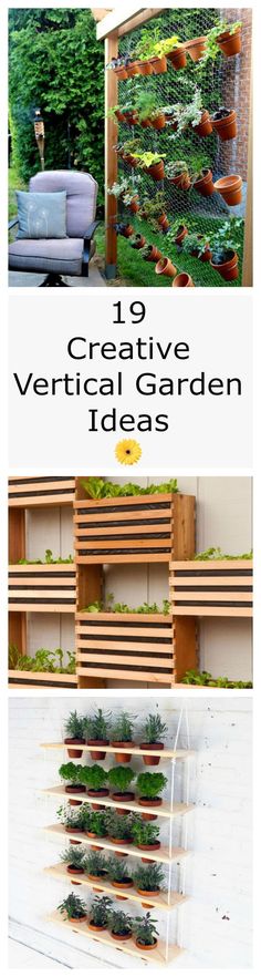 an outdoor garden with wooden shelves and plants in them, the text overlay reads 10 creative vertical garden ideas