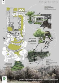 the diagram shows different types of trees and plants in various stages of development, including an area