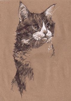 a drawing of a cat on brown paper