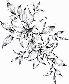 black and white drawing of flowers with leaves on the bottom half of each flower,