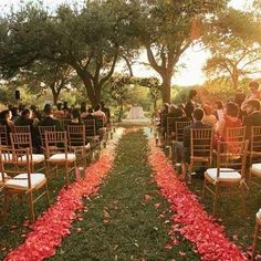 an outdoor ceremony with red petals on the aisle