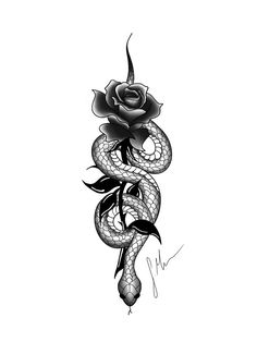 a snake and rose tattoo design on a white background