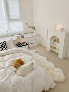 an orange and white cat laying on top of a bed in a room with windows