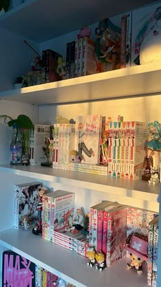 the shelves are filled with toys and books