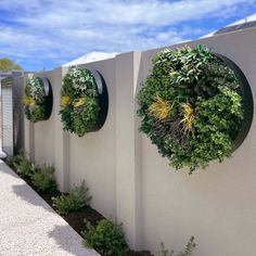 three circular planters are mounted to the side of a wall with plants growing in them