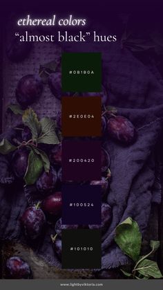 the color scheme for different shades of plums