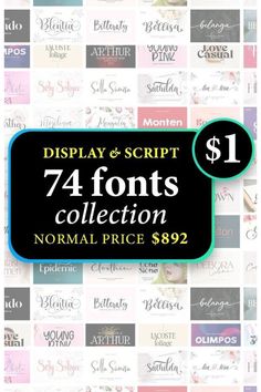 display and script font collection for $ 1