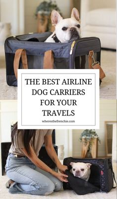 Airline dog carriers Airline Approved Pet Carrier, Best Airlines, Dog Stroller, Travel Carrier, Airline Travel, Plane Travel, United Airlines, Dog Travel, Dog Carrier