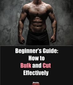 the beginner's guide how to bulk and cut effectively