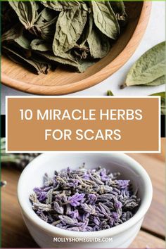 Discover the best herbs to help with wound scarring and natural scar removal in this collection. From homemade calendula salve to DIY scar salve, explore effective remedies like ginger serum, essential oils like lavender and tea tree, and healing balms using aloe, rosehip, chamomile, and more. Find out how to make your own creams for scars or try ready-made options for scar removal. Diy Scar Cream, Herbs For Cold Sores, Homemade Herbal Remedies, Witch's Apothecary, Witchy Herbs, Medicinal Recipes, Herb Benefits, Scar Remedies, Calendula Salve