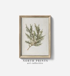 the north prints art collection is displayed in a wooden frame