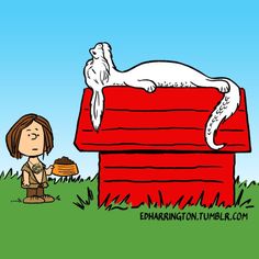 a woman is standing in front of a doghouse with a cat laying on the roof