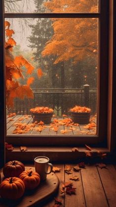 a window with fall leaves and pumpkins on the windowsill, in front of it