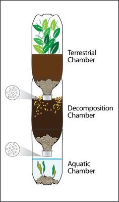 the diagram shows how water is being used to make plants grow in their own soil