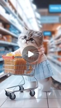 a cat is pushing a shopping cart with food in it