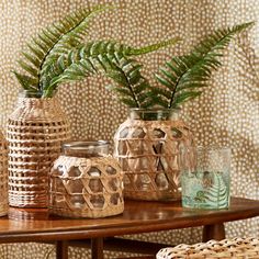 three vases with plants in them sitting on a table next to a wallpaper