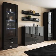 a black cabinet with glass doors and shelves