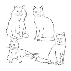 four cats are sitting and standing together