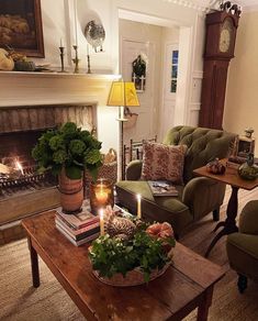 a living room filled with furniture and a fire place next to a table covered in plants