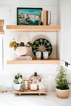 two shelves with plants and plates on them