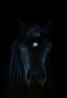 a black horse with glowing eyes in the dark