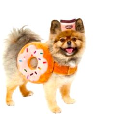 a small dog wearing a doughnut costume