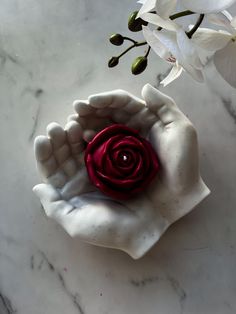 a red rose sitting in the middle of a hand on a marble surface with white flowers