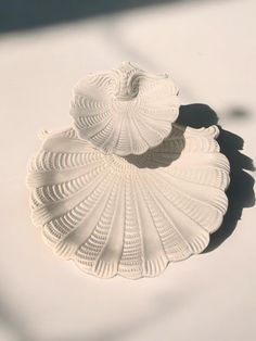 two seashells sitting on top of a white table next to a shadow cast object