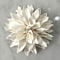 a white flower sitting on top of a marble table